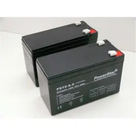 747925111748 BATTERYJACK Battery Raz