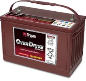 1-AGM BULBSANDBATTERIES Battery Trojan