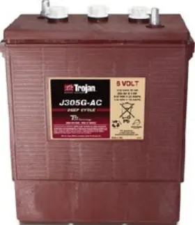486345040715 BULBSANDBATTERIES Battery Trojan