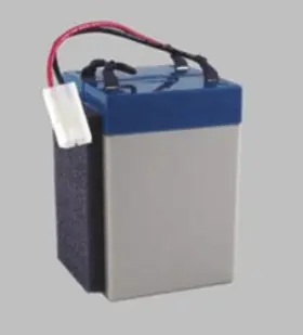 572224953108 BULBSANDBATTERIES Battery Sscor