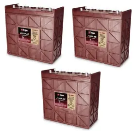 579532458550 BULBSANDBATTERIES Battery Windsor Chariot Iscrub