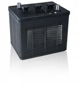 Bulbsandbatteries 7244 Replacement Battery For Napa 6.00v