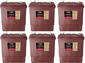Bulbsandbatteries 782729340604 Replacement For J305g-ac-6-pack Trojan And Others