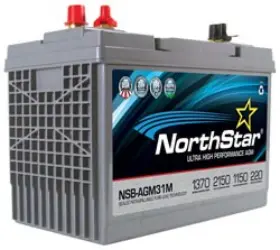C3110AP BULBSANDBATTERIES Battery Centennial
