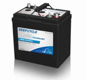 LDC6-210-GC2 BULBSANDBATTERIES Battery Leoch