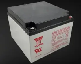 NP24-12T BULBSANDBATTERIES Battery