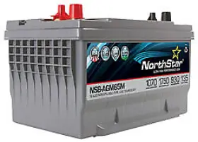 NSB-AGM65M BULBSANDBATTERIES Northstar