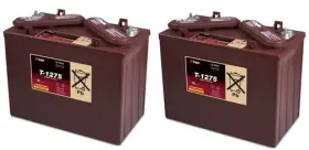 Bulbsandbatteries T300e Replacement Battery For Tennant 24 Volts 2 Pack 12.00v