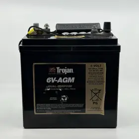 WW-S69L-1 BULBSANDBATTERIES Battery Trojan