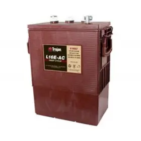 WW-S6AQ-1 BULBSANDBATTERIES Trojan