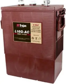 WW-S6AR-8 BULBSANDBATTERIES Battery Trojan