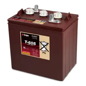 WW-S6BH-0 BULBSANDBATTERIES Battery Trojan