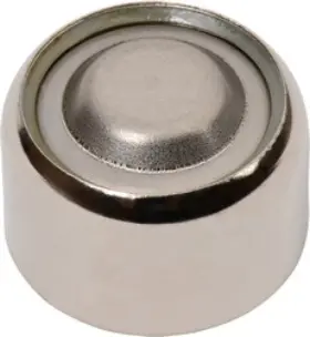 WW-SVQQ-5 BULBSANDBATTERIES Battery Eveready