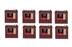 WW-ZFTU-2 BULBSANDBATTERIES Battery Trojan