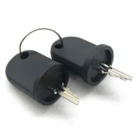 WX-5EA1-0 BULBSANDBATTERIES Rxv Keys Set Gas Golf