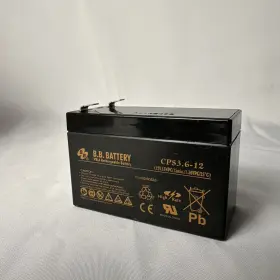 WX-E4WS-2 BULBSANDBATTERIES Battery