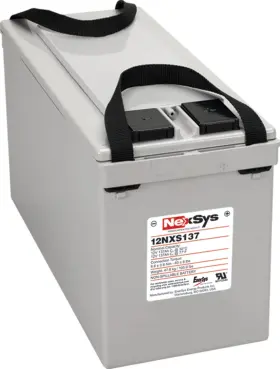 WX-SLY5-6 BULBSANDBATTERIES Battery Nexsys