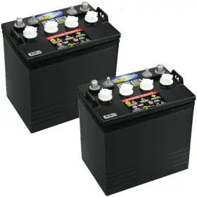Crown T-875 2 Pack Replacement For Trojan Golf Cart Solar Marine 8 Volt 8v
