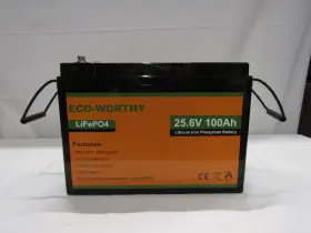 ECO-LFP24100002 ECO-WORTHY Battery Rv