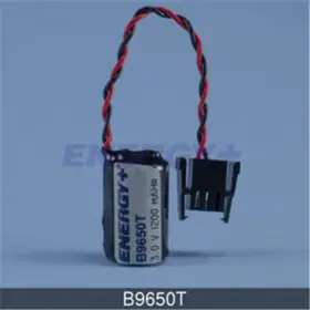 B9650T FEDCO BATTERIES Energy Battery Allen