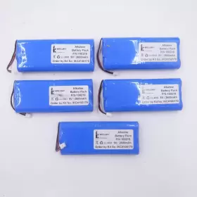 100219 INTELLIKEY Pack Alkaline Battery Mah