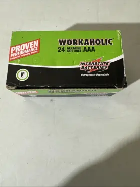 DRY0075 INTERSTATE Workaholic Alkaline Battery
