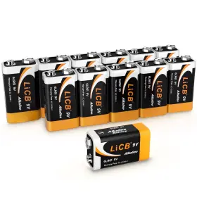 663992325393 LICB Alkaline Batteries Power Detectors
