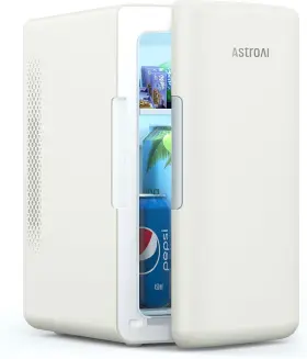 LY2206A MINI Fridge Ac Cooler Warmer