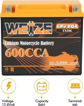 BAC-0107 WEIZE Lithium Battery #3