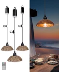 Outdoor Chandelier Lights Waterproof, Battery Operated Pendant For Gaz.... Fixed Price $39.76.