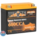 Weize Lithium Ytx20l-bs Group 20 600a Lifepo4 Motorcycle Battery 12v 8ah Atv. Fixed Price $203.11.