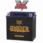 Twin Power Tpzg32hl-bs Shocker Gel Battery For Electrical Batteries Sc. Fixed Price $163.72.