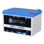 Mighty Max 12v 12ah Lithium Replacement Battery For Weize Agm Wp12-12. Fixed Price $79.99.