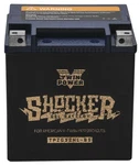 Twin Power Shocker Gel Battery Ytx32hl #tpzg32hl-bs Harley Davidson. Fixed Price $177.11.