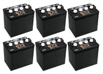 Set Of 6 Crown Cr-165 165 Ah 8 Volt Deep Cycle Battery - Replaces Trojan T-875. Fixed Price $1399.99.