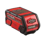 Strikemaster Lithium 40v Ion Battery. Fixed Price $286.12.