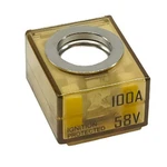 Egis Mrbf Terminal Fuse - 100 Amp 3603-100. Fixed Price $29.94.