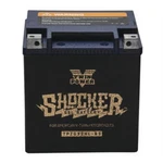 Twin Power Shocker Gel Ytx32hl Battery Tpzg32hl-bs. Fixed Price $181.30.