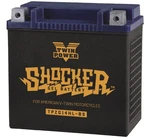 Twin Power Motors Part Shocker Gel Battery Tpzg20hl-bs 781234 Twp781234. Fixed Price $119.19.