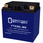 Mighty Max Ytx30l-bs Lithium Replacement Battery Compatible With Weize. Fixed Price $139.99.