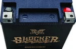 Twin Power Shocker Gel Batteries Ytx32hl Tpzg32hl-bs. Fixed Price $165.99.